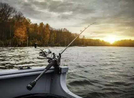 Comment organiser une journée de pêche inoubliable dans les lacs et rivières d’Anglet ?