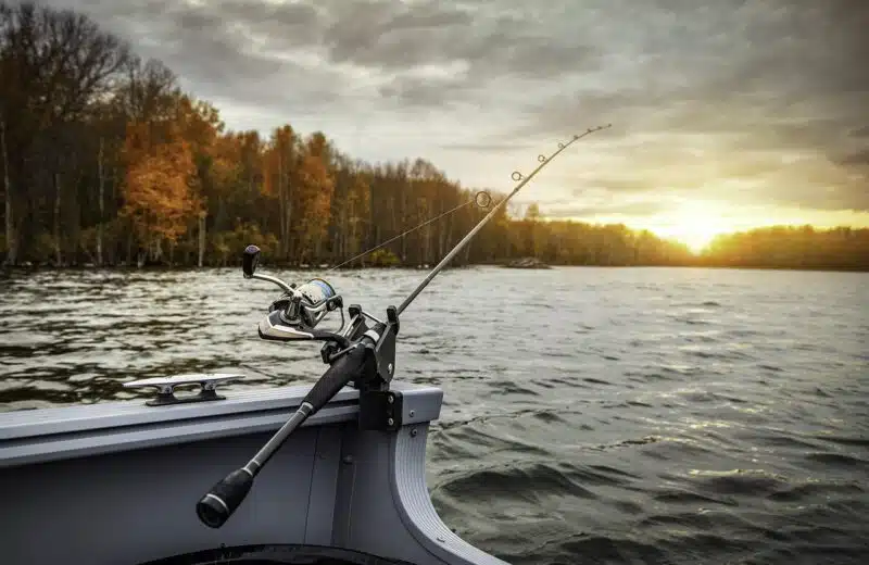 Comment organiser une journée de pêche inoubliable dans les lacs et rivières d’Anglet ?