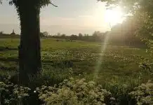 Explorer les églises fortifiées de Thierache et la beauté naturelle de la région des Ardennes