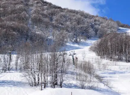 Les stations de ski proches de Monaco