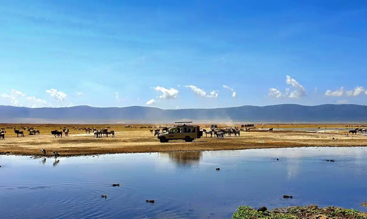 Visitez le lac Natron en Tanzanie, un voyage fascinant