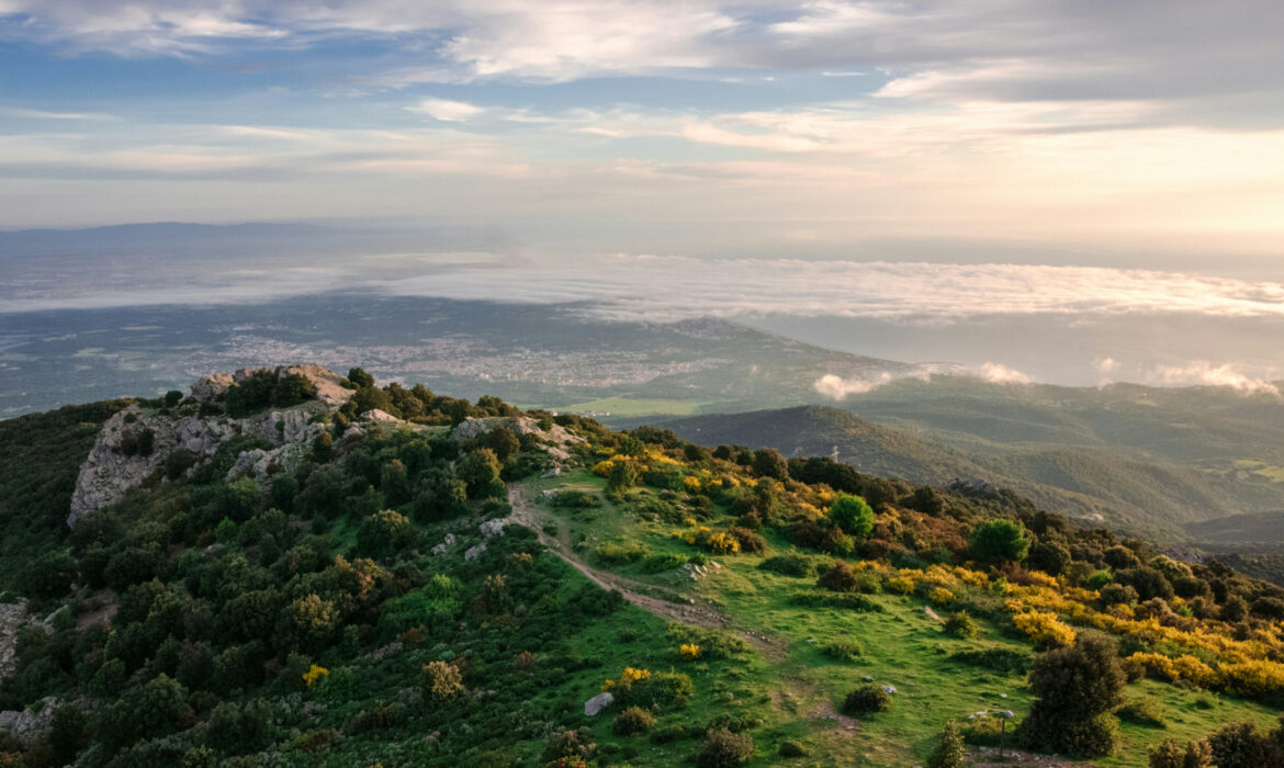 Où faire du camping cet été dans les Pyrénées-Orientales ?