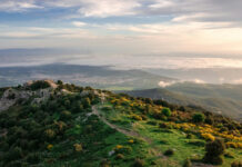 Où faire du camping cet été dans les Pyrénées-Orientales ?