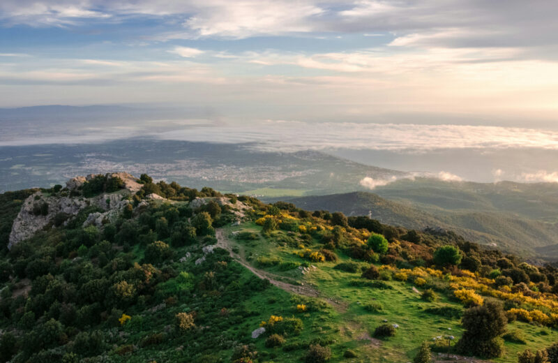 Où faire du camping cet été dans les Pyrénées-Orientales ?